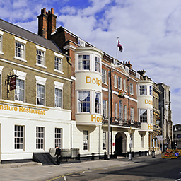 The Dolphin